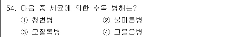 임업종묘기사 2015년 54번 - 정답은 2번, 불림읍병입니다. 불림병은 수목의 성장과 품질에 심각한 영향... 에 관한 핵심 기출문제