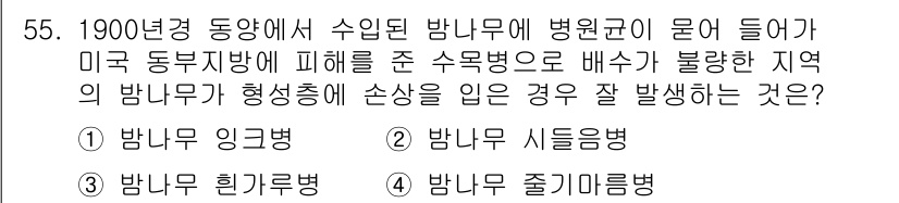 임업종묘기사 2015년 55번 - . 

밴나무 줄기마름병은 주로 수확기나 장기적인 스트레스 상태에서 발생... 에 관한 핵심 기출문제