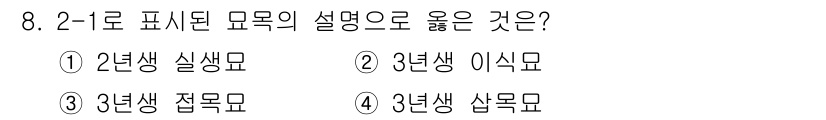 임업종묘기사 2015년 8번 - 2년생 이식묘는 뿌리의 발달이 완료되어 이식 후 생장이 원활한 묘목입니다... 에 관한 핵심 기출문제