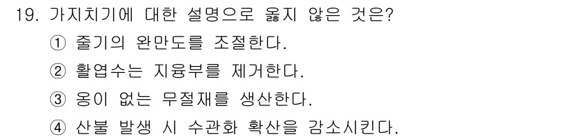 임업종묘기사 2016년 19번 - "활엽수는 가지를 제거한다"는 설명은 잘못된 정보입니다. 가지치기는 일반... 에 관한 핵심 기출문제