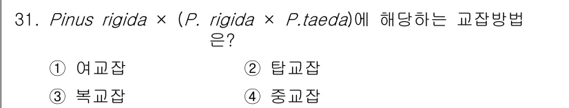임업종묘기사 2016년 31번 - 문제에서 제시된 교잡은 Pinus rigida의 두 개체와 Pinus t... 에 관한 핵심 기출문제