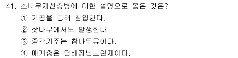 임업종묘기사 2016년 41번 - 소나무 재선충병은 매개충인 담배나방에 의해 전파되며 주로 소나무에서 발생... 에 관한 핵심 기출문제