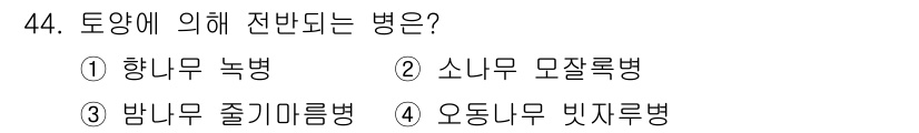임업종묘기사 2016년 44번 - . 소나무 모잘록병은 주로 병원균이 소나무의 줄기와 가지에 영향을 미쳐 ... 에 관한 핵심 기출문제