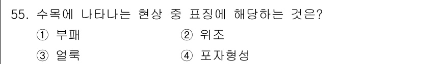 임업종묘기사 2016년 55번 - 정답은 4번, 포지형성입니다. 수목에 나타나는 현상 중 '포지형성'은 수... 에 관한 핵심 기출문제