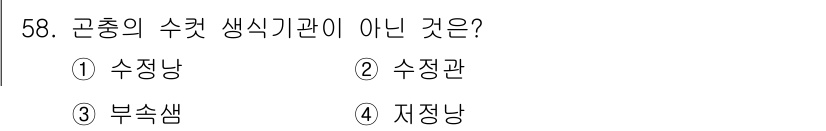 임업종묘기사 2016년 58번 - . 수징랑  
이유: 수징랑은 곤충의 수컷 생식기관이 아닌, 곤충의 생식... 에 관한 핵심 기출문제