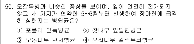 임업종묘기사 2018년 50번 - 정답은 3번, 오리나무 갈색무늬병군입니다. 이 병은 모잘록병과 유사한 증... 에 관한 핵심 기출문제