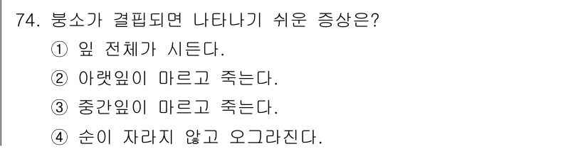 임업종묘기사 2018년 74번 - 봉소가 결필되면 순이 자라지 않고 오그라지는 증상이 나타납니다. 이는 식... 에 관한 핵심 기출문제