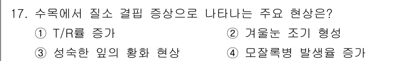 임업종묘기사 2019년 17번 - 수목에서 질소 결핍은 석순한 잎의 황화 현상을 초래하는데, 이는 잎이 노... 에 관한 핵심 기출문제