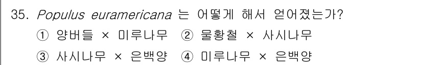 임업종묘기사 2019년 35번 - . Populus euramericana는 양배푸르풀과에 속하는 나무로,... 에 관한 핵심 기출문제