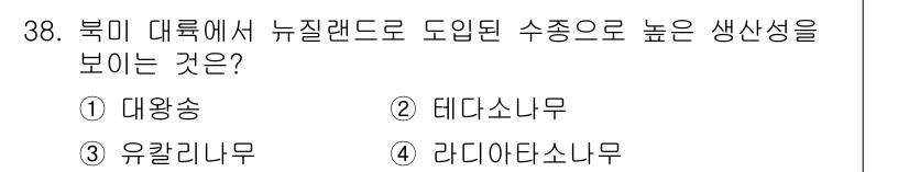임업종묘기사 2019년 38번 - 정답 4번, 라디아타 소나무입니다. 이 수종은 북미 대륙에서 뉴질랜드 도... 에 관한 핵심 기출문제