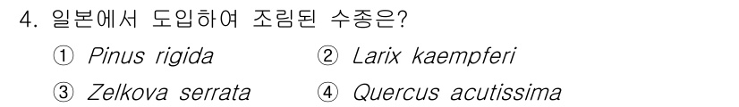 임업종묘기사 2019년 4번 - 일본의 조림 수종 중 하나인 Larix kaempferi(일본 낙엽송)는... 에 관한 핵심 기출문제
