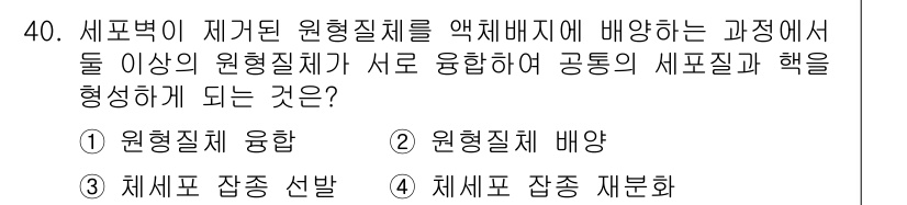 임업종묘기사 2019년 40번 - . 원형질체 융합  
해설: 원형질체 융합은 두 개 이상의 원형질체가 결... 에 관한 핵심 기출문제