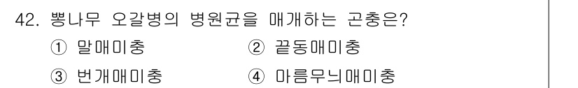 임업종묘기사 2019년 42번 - 정답은 4번, 미물무늬미충입니다. 이 해충은 병원균의 매개체로 작용하여 ... 에 관한 핵심 기출문제