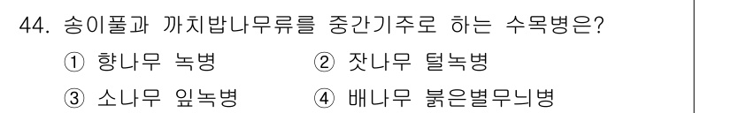 임업종묘기사 2019년 44번 - 정답은 2번 잣나무 털녹병입니다. 잣나무 털녹병은 송이풀과 까치밥나무류를... 에 관한 핵심 기출문제