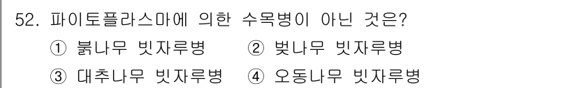 임업종묘기사 2019년 52번 - 파이토플라스마에 의한 수목병은 주로 나무에 영향을 미치는 특정 병원체들에... 에 관한 핵심 기출문제