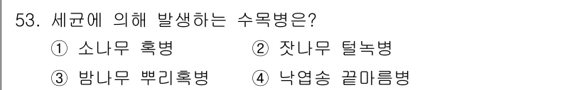 임업종묘기사 2019년 53번 - 정답은 3번 '밤나무 뿌리혹병'입니다. 이 병은 특정한 균류에 의해 발생... 에 관한 핵심 기출문제