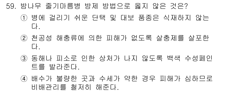 임업종묘기사 2019년 59번 - 병해가 발생하기 쉬운 단면 및 더러움으로 인해 품종은 식재되지 않으므로,... 에 관한 핵심 기출문제