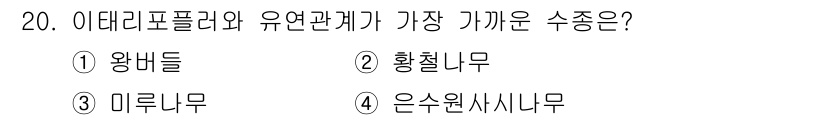 임업종묘기사 2020년 20번 - 정답은 3번 미루무입니다. 미루무는 아이다리프피리아의 유전적 특성과 밀접... 에 관한 핵심 기출문제