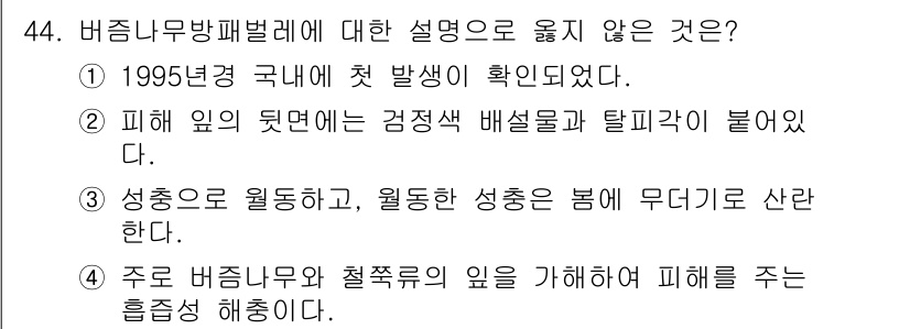 임업종묘기사 2020년 44번 - 비즉비무방패벨레에 대한 설명 중 "주로 비즉비무와 철저하게 일을 가해하여... 에 관한 핵심 기출문제