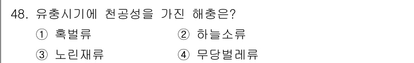 임업종묘기사 2020년 48번 - . 하늘소류

하늘소류는 유충 시기에 천공성을 가지며, 특히 수목의 내부... 에 관한 핵심 기출문제