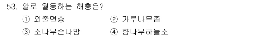 임업종묘기사 2020년 53번 - 알로 원통하는 해충은 "가루니무좀"입니다. 이 해충은 식물의 잎이나 줄기... 에 관한 핵심 기출문제