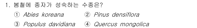 임업종묘기사 2021년 1번 - 정답은 3번, Populus davidiana입니다. 봄철에 꽃가루가 날... 에 관한 핵심 기출문제