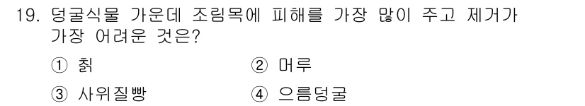 임업종묘기사 2021년 19번 - . 잘의 주요 피해 원인으로는 잎과 가지가 지하에서 발생하는 곰팡이에 의... 에 관한 핵심 기출문제