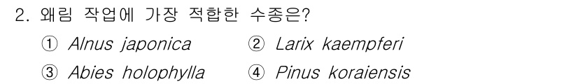 임업종묘기사 2021년 2번 - 정답은 1번 알누스 제포니카(Alnus japonica)입니다. 이 나무... 에 관한 핵심 기출문제