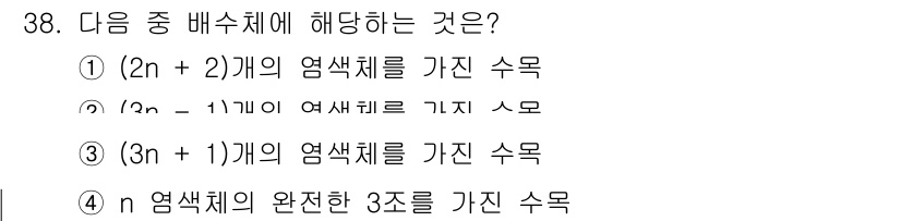 임업종묘기사 2021년 38번 - n 염색체의 완전한 3조를 가진 수목은 3n 염색체 구조를 가지므로, n... 에 관한 핵심 기출문제