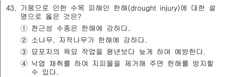 임업종묘기사 2021년 43번 - . 소나무, 자작나무가 피해에 강하다.

핵심 해설: 소나무와 자작나무는... 에 관한 핵심 기출문제