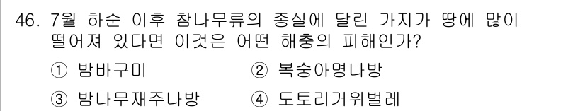 임업종묘기사 2021년 46번 - 정답은 4번, 도로데리커벨레입니다. 도로데리커벨레는 주로 씨앗이 떨어져 ... 에 관한 핵심 기출문제