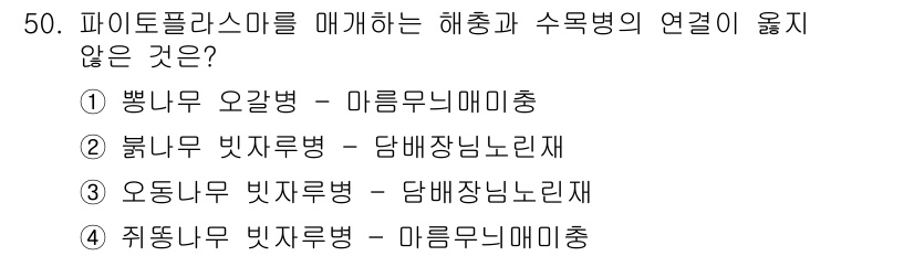 임업종묘기사 2021년 50번 - 주어진 보기 중에서 피토플라스마를 매개하는 해충과 수목병의 연결성이 옳지... 에 관한 핵심 기출문제