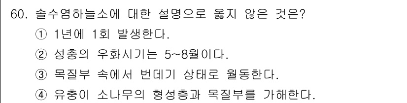 임업종묘기사 2021년 60번 - 숲이 있는 곳에서는 목질부가 자라는 것이 일반적이며, 유통은 성숙한 나무... 에 관한 핵심 기출문제