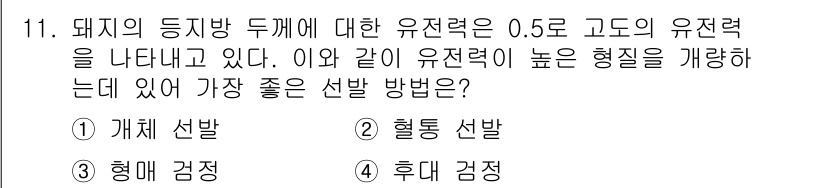 축산기사 2022년 11번 - 돼지의 등징방 두께에 대한 유전력 0.5는 유전적 변이가 존재함을 의미합... 에 관한 핵심 기출문제