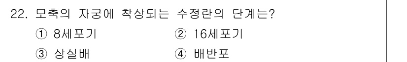 축산기사 2022년 22번 - 모축의 자궁에 착상하는 수정란의 단위는 '배반포'입니다. 수정란이 자궁 ... 에 관한 핵심 기출문제