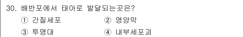축산기사 2022년 30번 - 정답은 4번, 내부세포괴입니다. 배반포의 내부 세포 집합체가 형성되는 과... 에 관한 핵심 기출문제