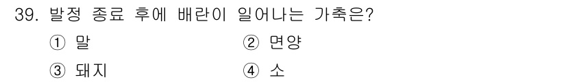 축산기사 2022년 39번 - . 소

해설: 소는 발정 주기 후에 배란이 이루어지는 대표적인 가축으로... 에 관한 핵심 기출문제