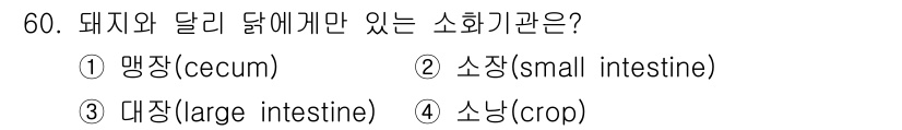 축산기사 2022년 60번 - . 소낭(crop)

해설: 돼지와 달걀에 있는 소화기관은 '소낭'으로,... 에 관한 핵심 기출문제