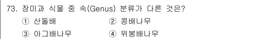 조경기사 2022년 73번 - . 아그네누무는 다른 과인 하지비과(가시나무과)에 속해 있으며, 나머지 ... 에 관한 핵심 기출문제