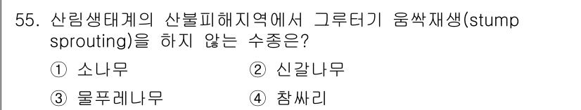 자연생태복원기사 2018년 55번 - 수종 중 소나무는 스텀프 스프라우팅을 하지 않는 대표적인 수종입니다. 이... 에 관한 핵심 기출문제