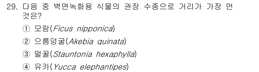 자연생태복원기사 2021년 29번 - 정답은 4번 유카(Yucca elephantipes)입니다. 유카는 건조... 에 관한 핵심 기출문제