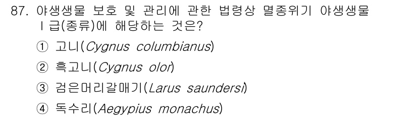 자연생태복원기사 2021년 87번 - 정답은 2번 흑고니(Cygnus olor)입니다. 흑고니는 국제적으로 보... 에 관한 핵심 기출문제