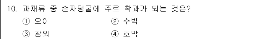 시설원예기사 2022년 10번 - 정답은 3번 찹쌀입니다. 조리 과정에서 찹쌀은 소지를 형성하여 단단한 식... 에 관한 핵심 기출문제