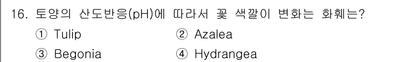 시설원예기사 2022년 16번 - 정답은 4번 Hydrangea입니다. Hydrangea는 토양의 산도에 ... 에 관한 핵심 기출문제