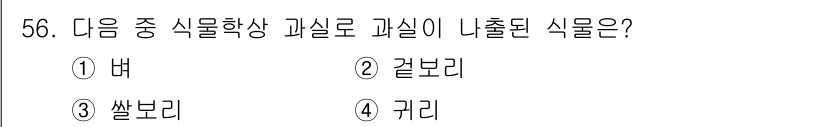 시설원예기사 2022년 56번 - 정답은 3) 쌀보리입니다. 쌀보리는 식물학적으로 곡물로 분류되며, 식물학... 에 관한 핵심 기출문제