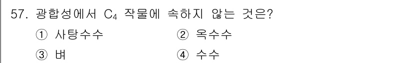 시설원예기사 2022년 57번 - C4 광합성에서 작물에 속하지 않는 것은 "버"입니다. 버는 식물의 종류... 에 관한 핵심 기출문제