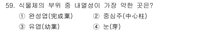 시설원예기사 2022년 59번 - 정답은 2번 유엽입니다. 유엽은 식물체에서 광합성을 담당하는 잎의 일종으... 에 관한 핵심 기출문제