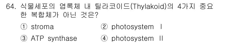 시설원예기사 2022년 64번 - 스토마(stroma)는 엽록체 내의 액체 부분으로, 클로로플라스트의 내부... 에 관한 핵심 기출문제