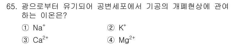 시설원예기사 2022년 65번 - . K⁺

기공의 개폐는 주로 칼륨 이온(K⁺)의 농도 변화에 의해 조절... 에 관한 핵심 기출문제