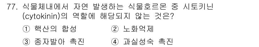 시설원예기사 2022년 77번 - 사이토키닌(cytokinin)은 세포 분열과 신장에 주로 관여하지만, 영... 에 관한 핵심 기출문제